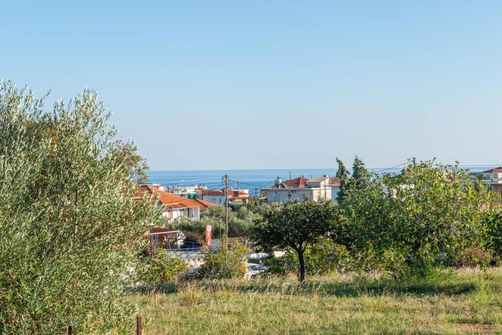 Όμορφο Παραθασυγκρότημα Ενοικιαζόμενων Καταλυμάτων Ως Ολόκληρος Χώρος - Chrani, Ελλάδαλάσσιο Διαμέρισμα المظهر الخارجي الصورة